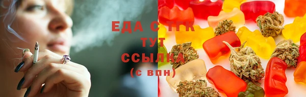 PSILOCYBIN Великий Новгород